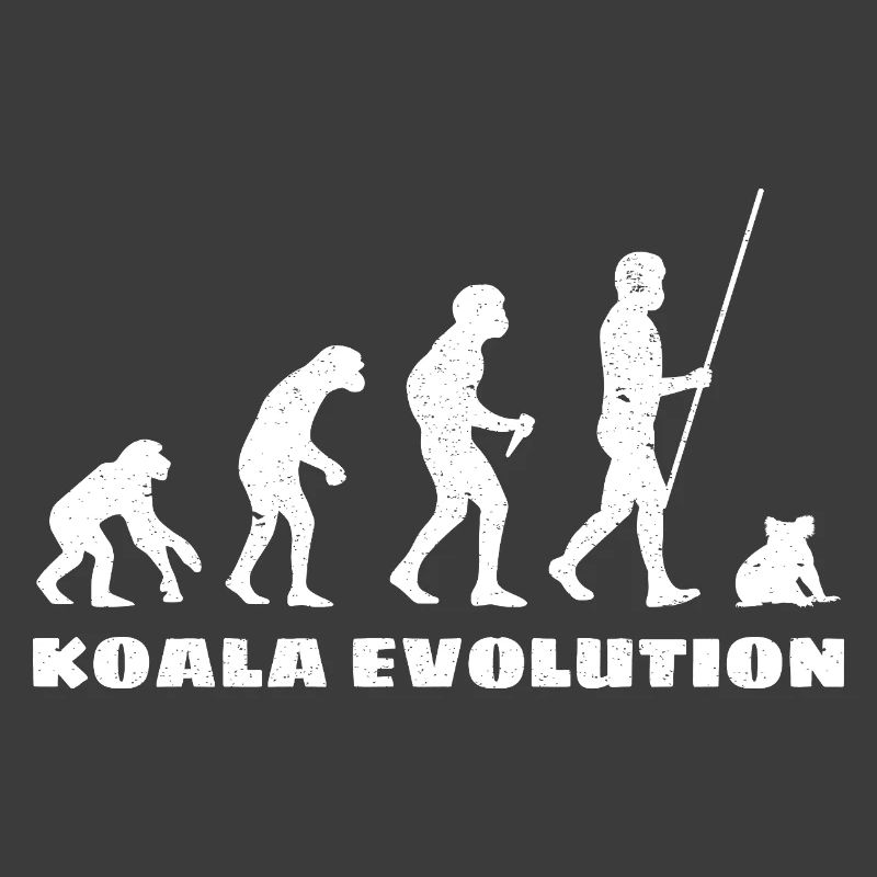 Évolution du koala