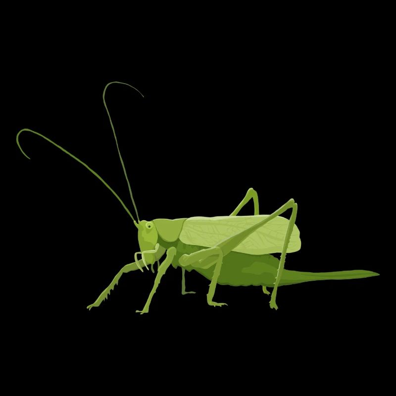 Heuschrecke