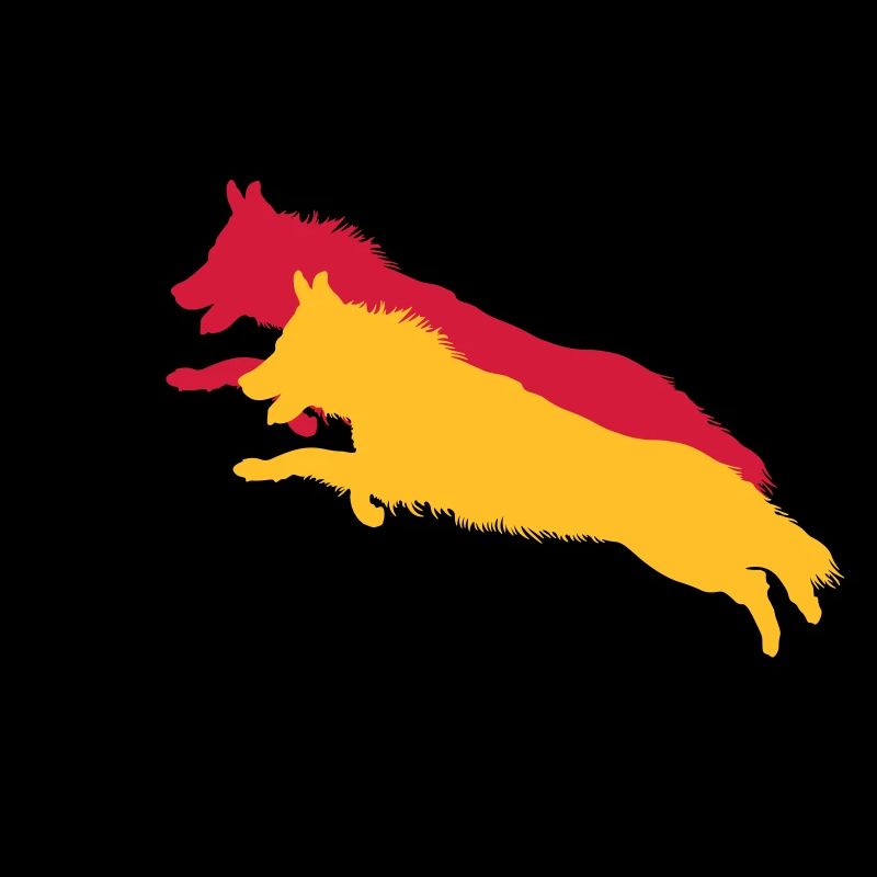 langstockhaar schäferhund