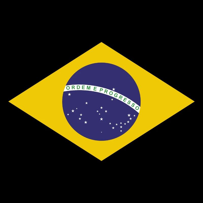Brasilia Flag