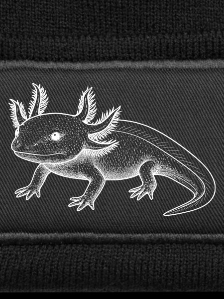 Axolotl Line Style – White