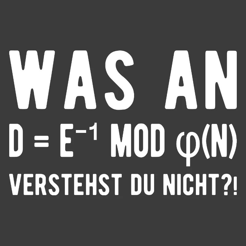 Computer Scientist Computer Science Student Programmer