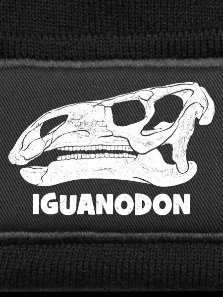 Iguanodon Fossil