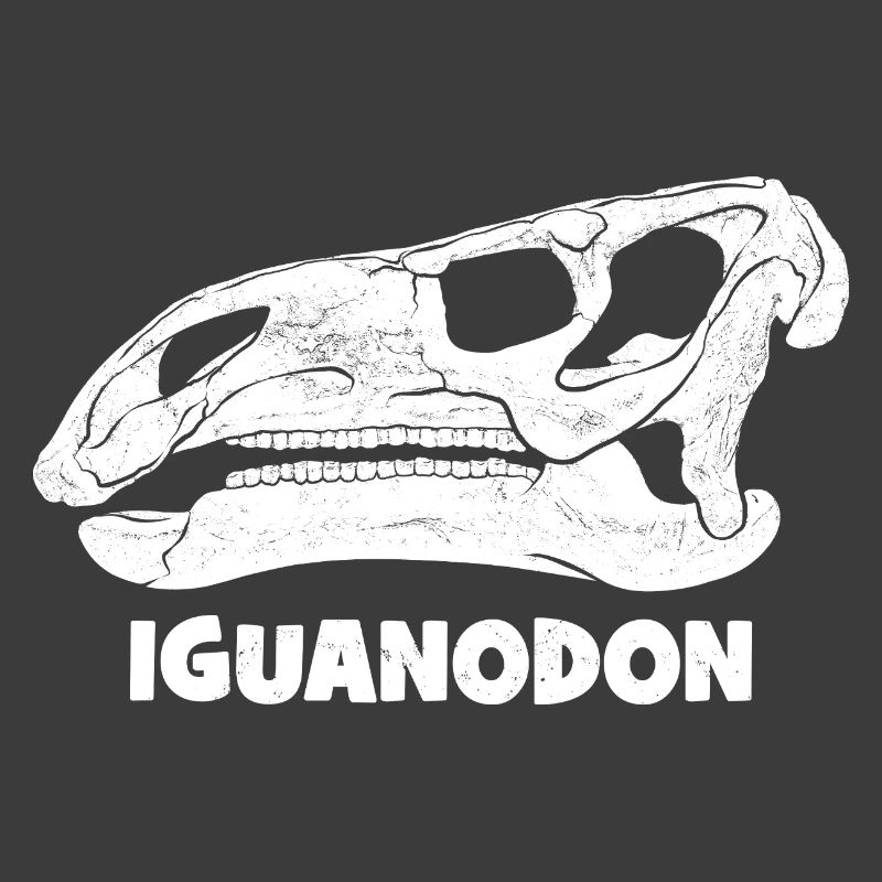 Iguanodon Fossil