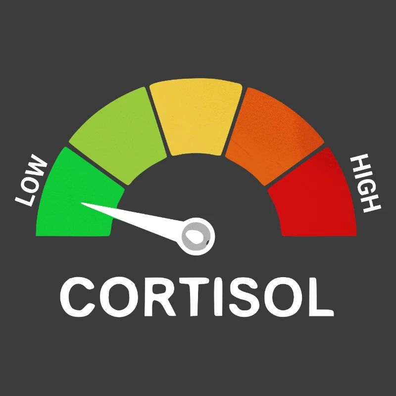 low cortisol skala 