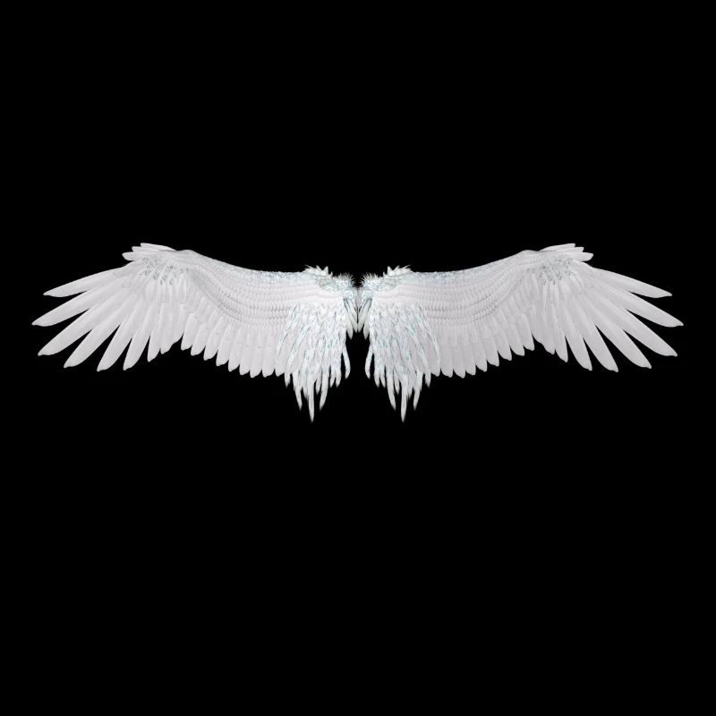 ailes d'ange