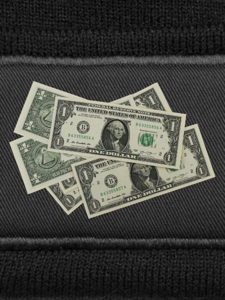Dollar Scheine