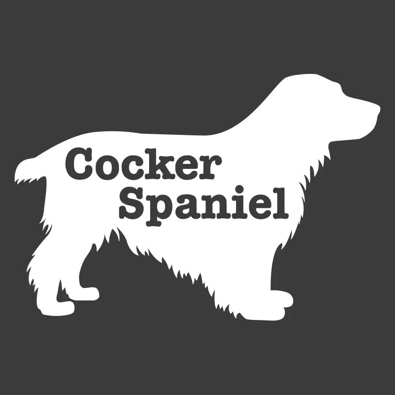 Cocker Spaniel