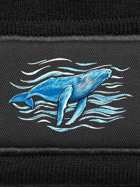Humpback whale