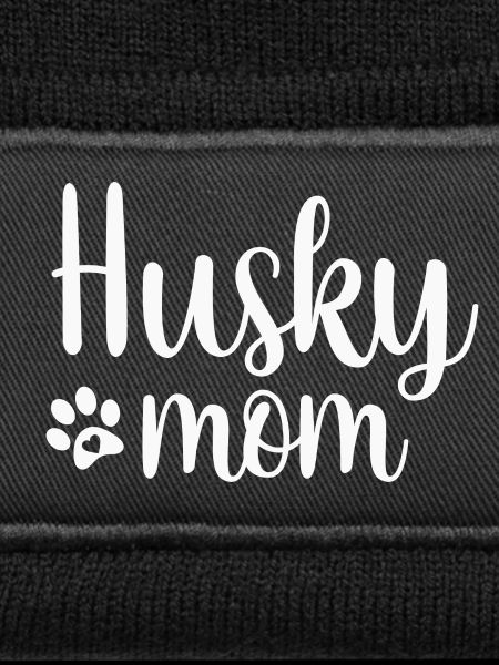 Dog Husky