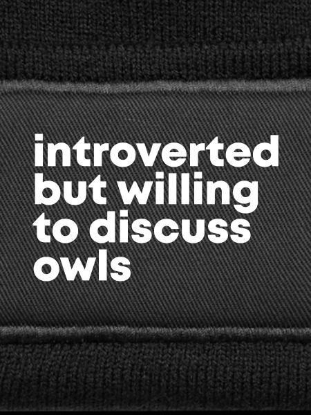 Owl Owl Owl