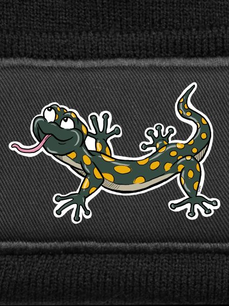Lizard Climber