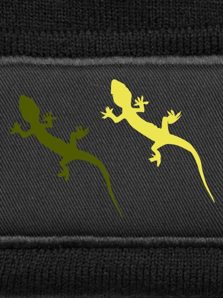 Gecko 2