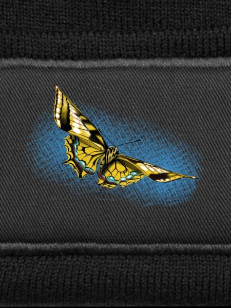 Yellow Butterfly Blue Accent