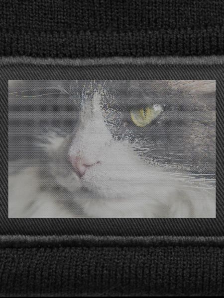 Katzenporträt im Glitch-Look