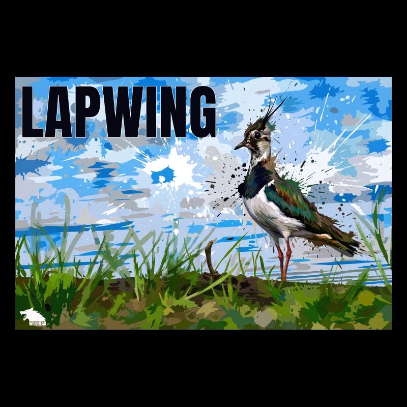 LAPWING