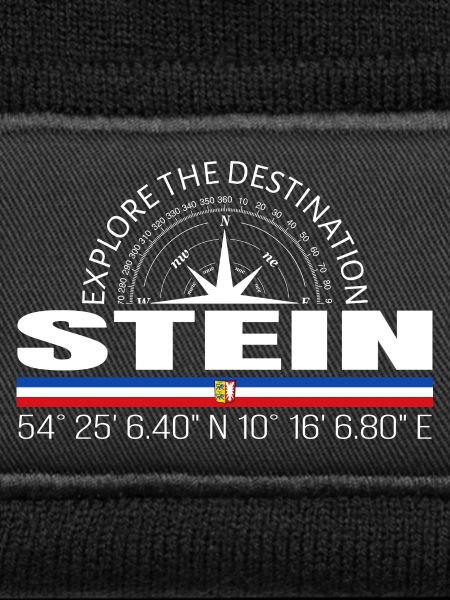 Stein