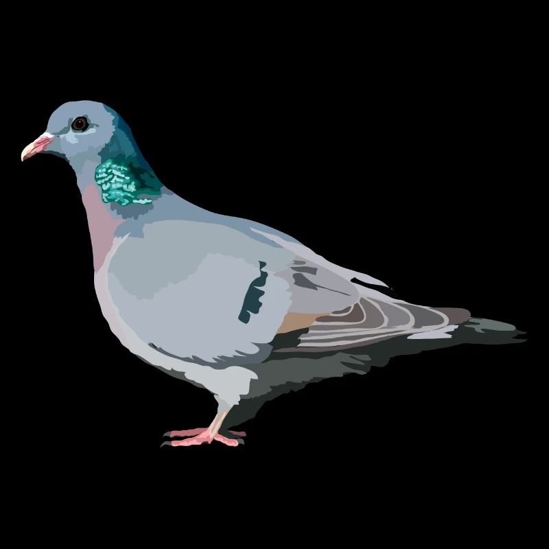 Hohltaube