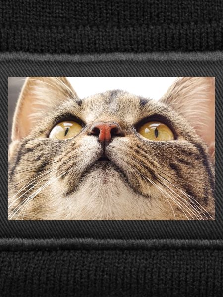 Minka cat face