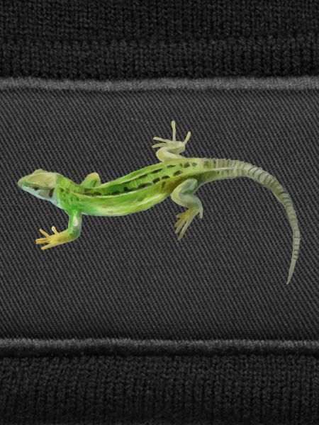 Gecko Green Pattern