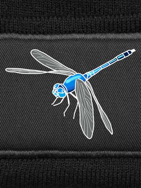 dragonfly