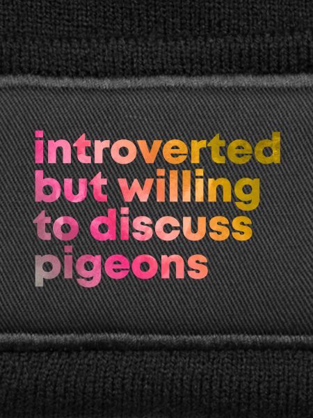 Pigeon Pigeon Pigeon