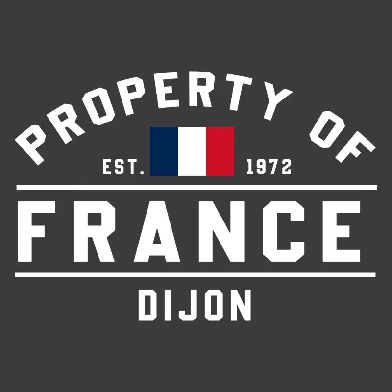Drapeau français Graphique Logo de Dijon