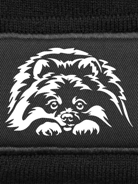 Zwergspitz "Black Edition"