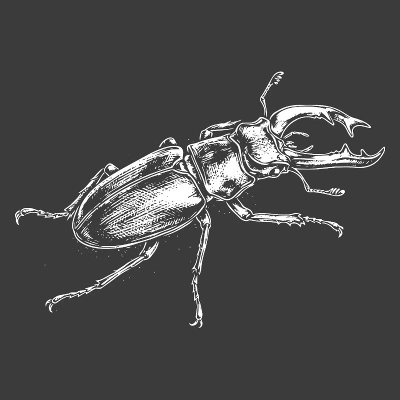Conception de gros insectes