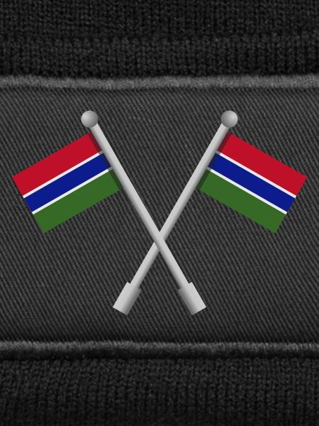 Gambische Flagge