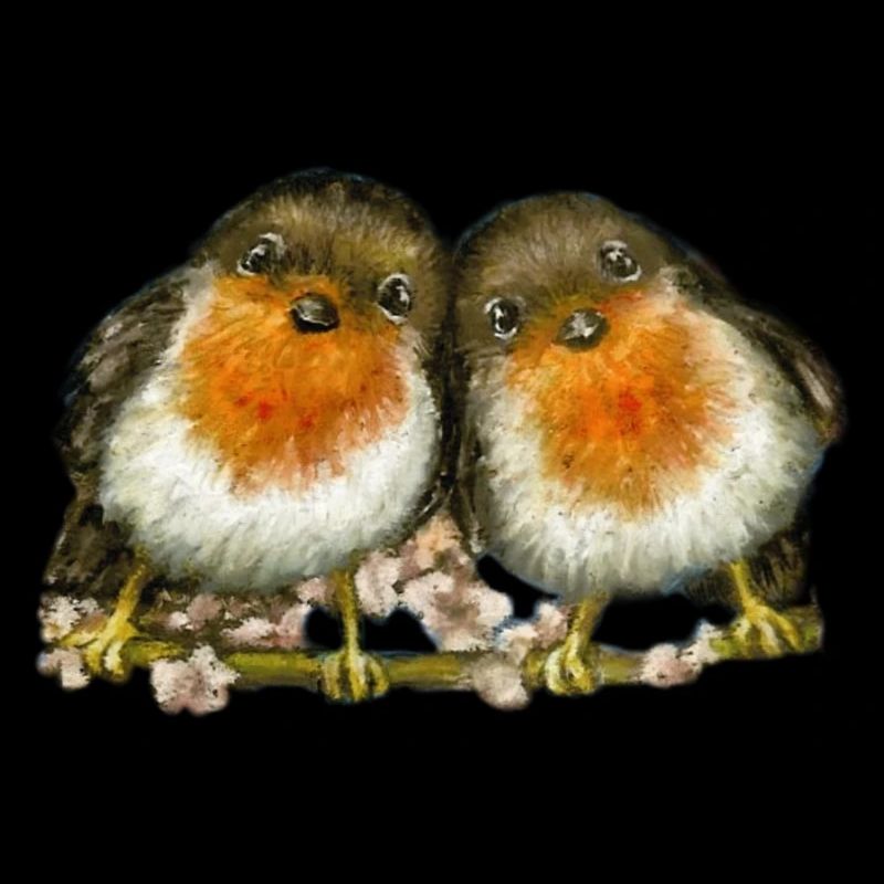 two robins
