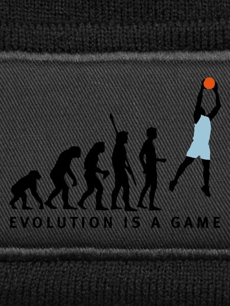 evolution_basketball_072011_b_3c