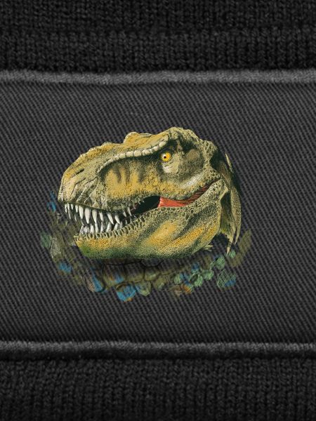 Dinosaur