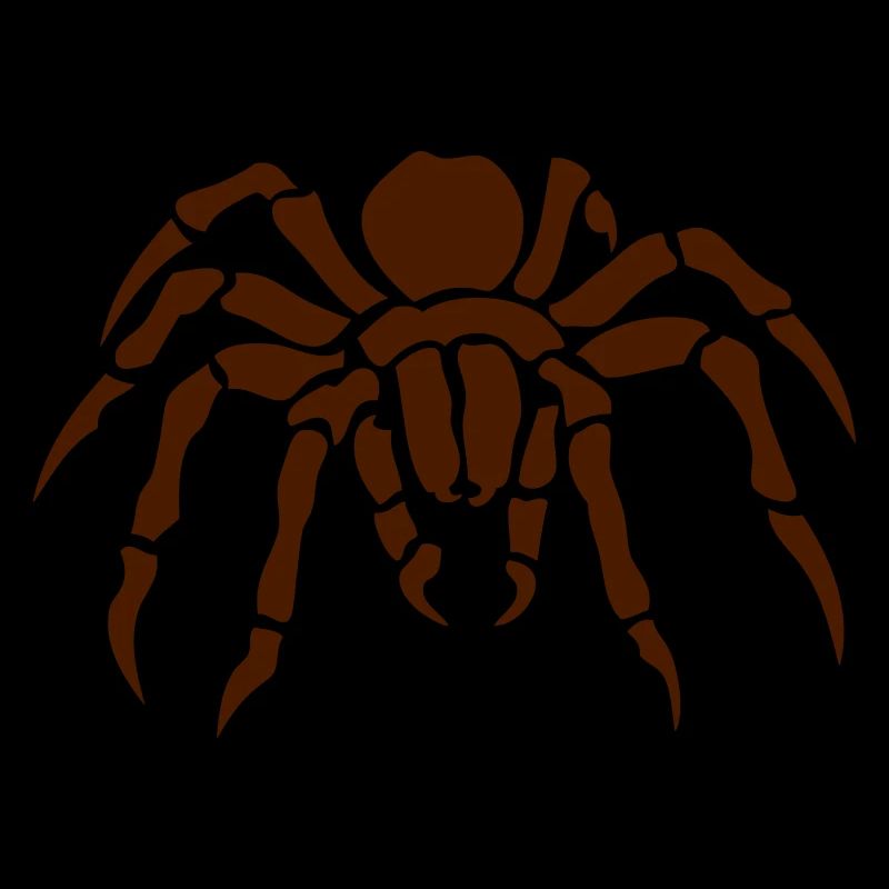 spider spider spinne ragno arana 2011