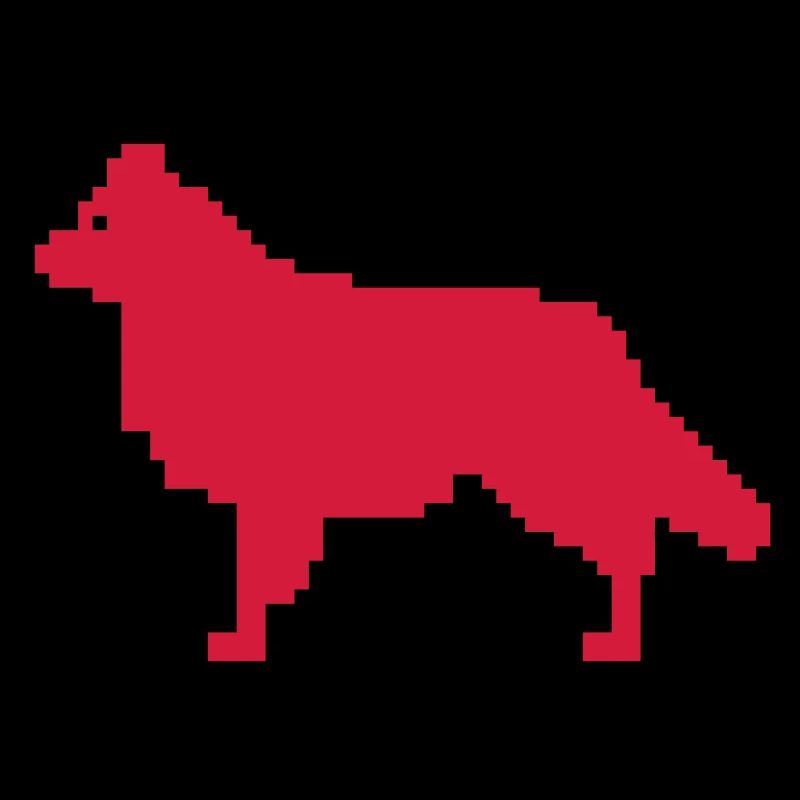 Australian Shepherd avec queue, traditionnel