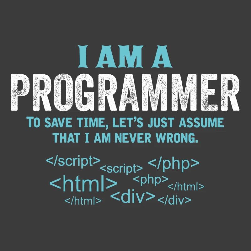 I Am A Programmer...