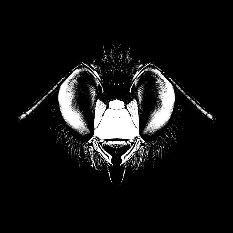 Tête d’abeille en bois