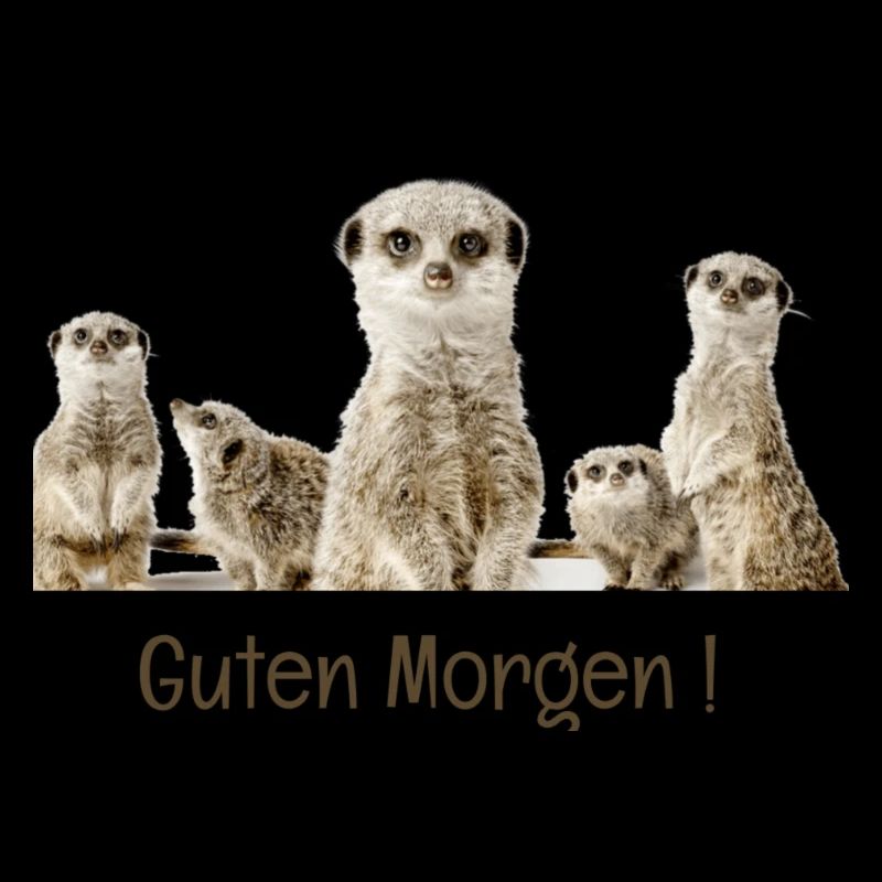 Guten Morgen