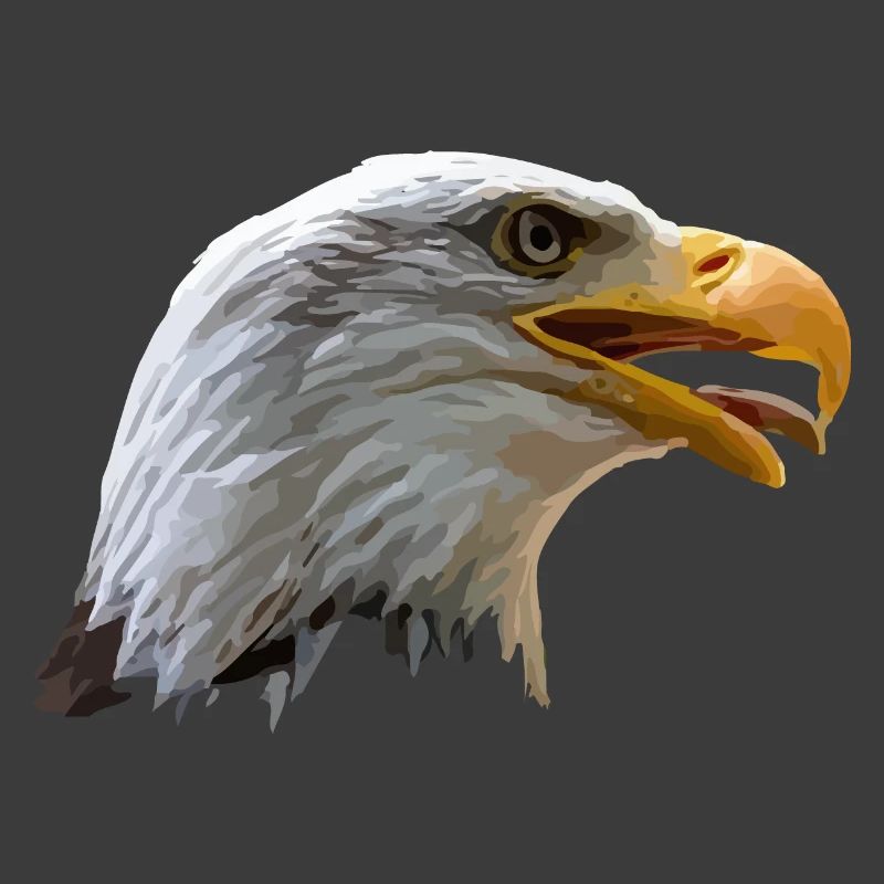 bald eagle