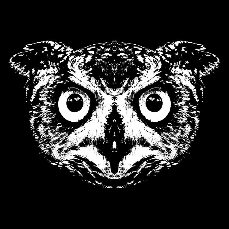 Owl / Eagle Owl / Owl