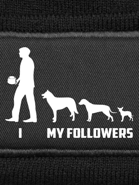Adeptes de chiens