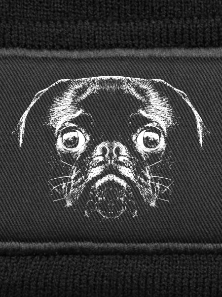 Pug / Face / Head