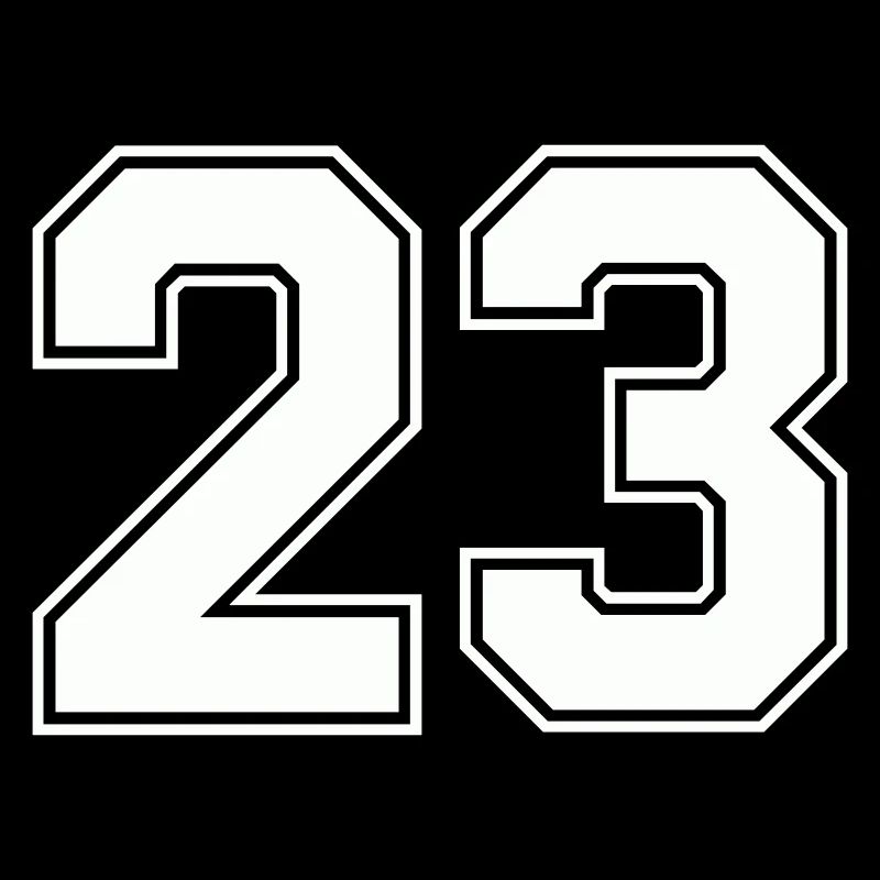 Geometric Number Design 23