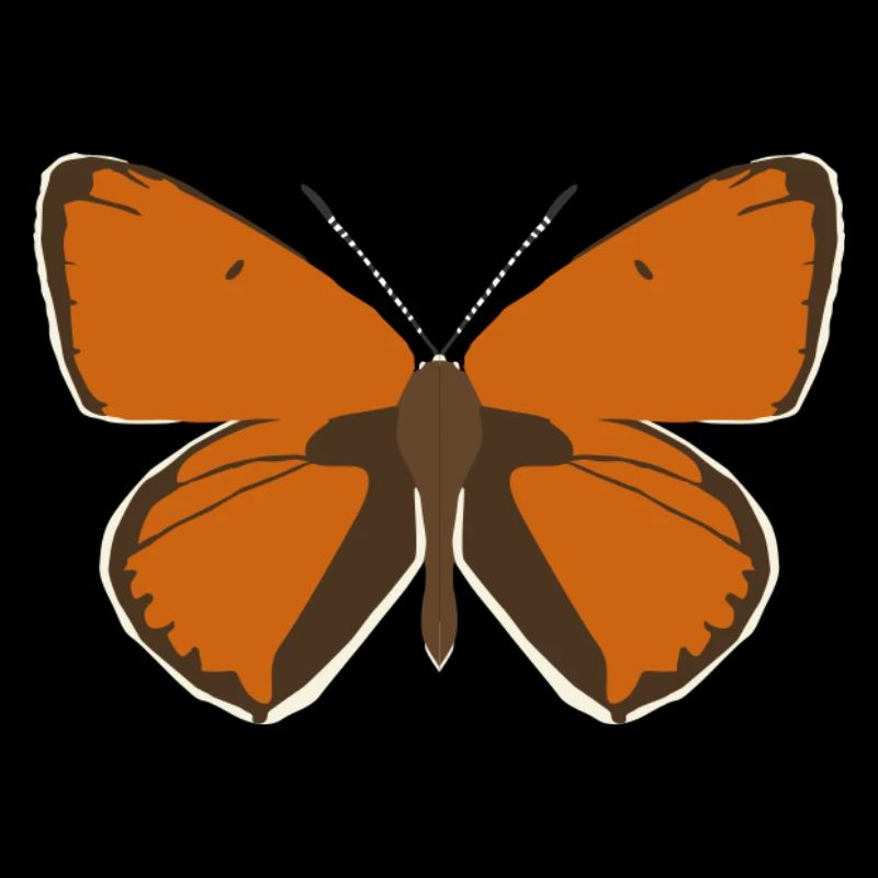 Papillons : Le Grand Papillon de Feu