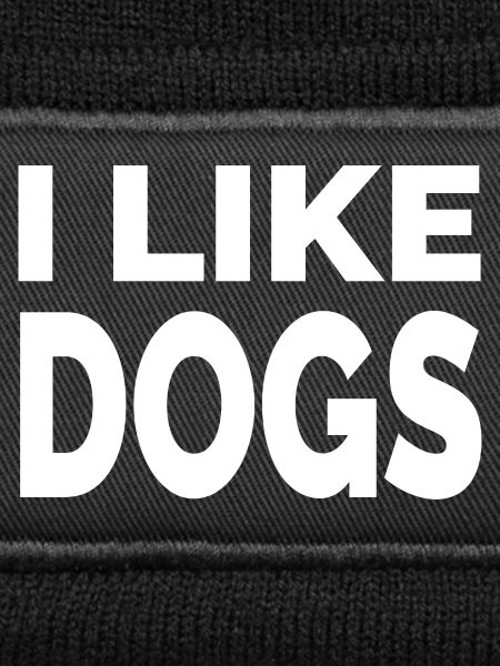 canine