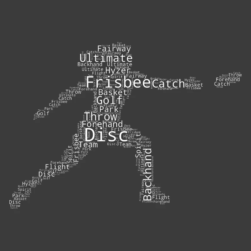 Disc Golf Gift Idea for a Disc Athlete