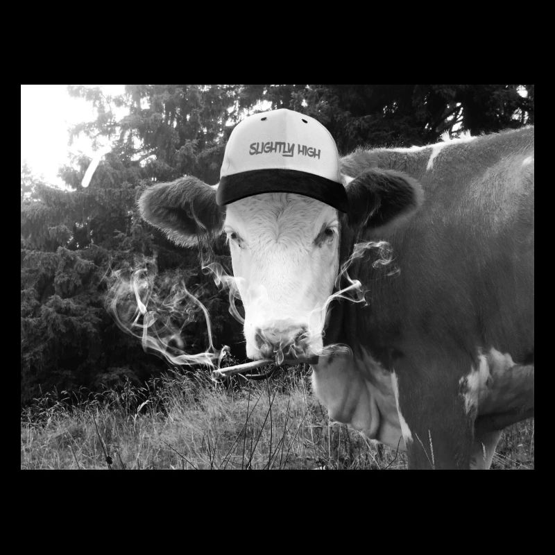 Bekiffte Kuh mit Spliff