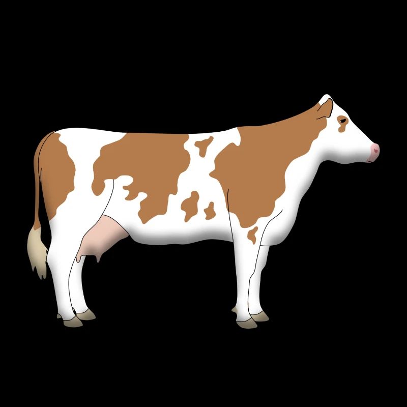 Vache 1