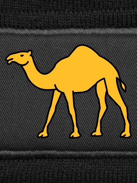 kamel_02