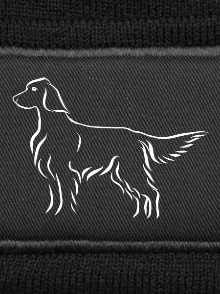 Setter stehend